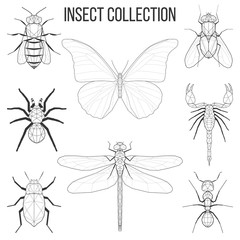 Geometric insect set