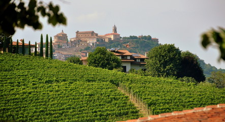 Weinberg im Piemont mit Burg im Hintergrund