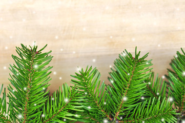 green christmas tree on wood table background as holiday decor
