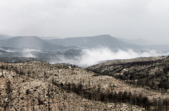 Fototapeta Niebla