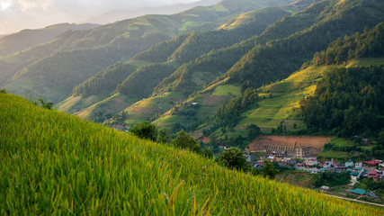 Obraz premium Beautiful landscape Rice fields on terraced of Mu Cang Chai, YenBai, Vietnam.