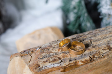 Obraz na płótnie Canvas Gold wedding rings lie on a natural log