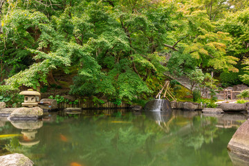 Fototapeta na wymiar Idyllic pond in the park of Kamakura, Japan