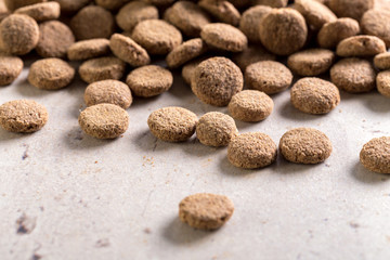 pets food on the floor