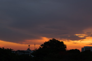 Fototapeta na wymiar silhouette sunset in the city with tree