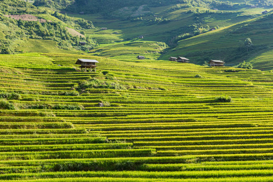 Beautiful landscape Rice fields on terraced of Mu Cang Chai, YenBai, Vietnam.