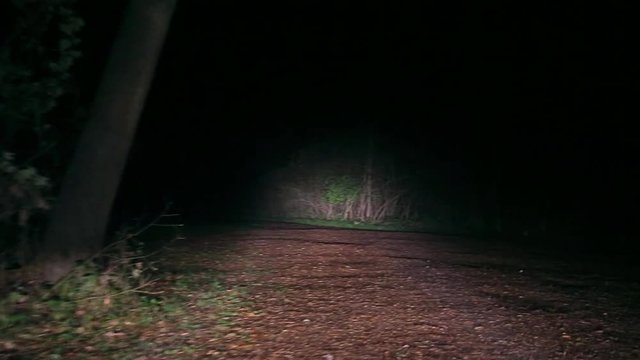 Driving on spooky dirtroad