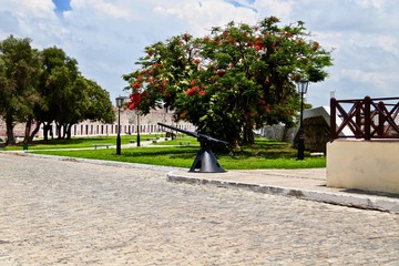 cuba havana city