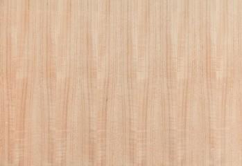 Naklejka premium wooden texture plywood in nature for background