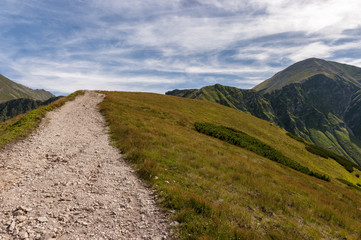Fototapeta na wymiar Summer landscape of beautiful green mountains. Western Tatras.