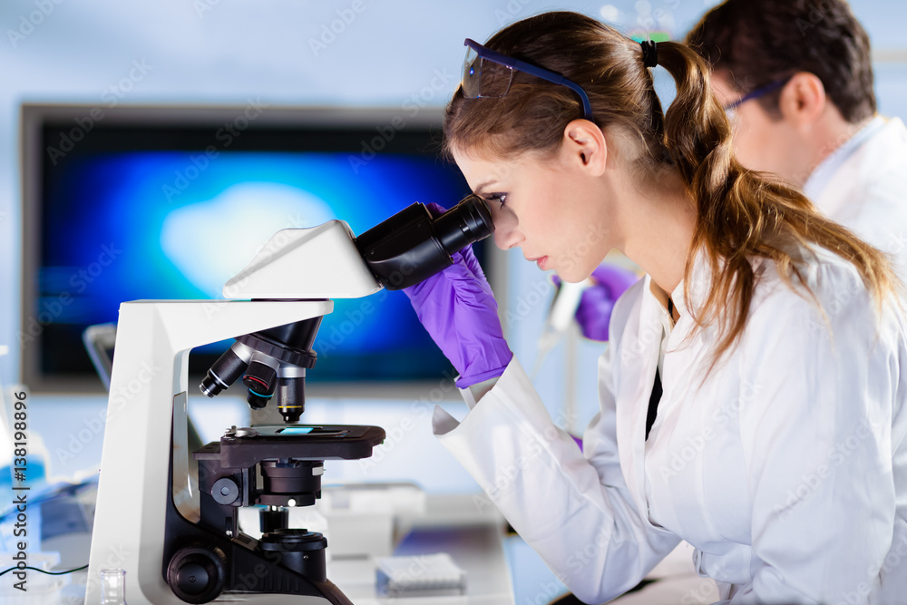 Aufkleber life scientists researching in laboratory. female young scientist and her post doctoral supervisor m