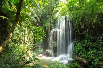Fotobehang Watervallen Waterval in de jungle