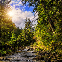 Wonderful autumn landscape. colorful leaves on the trees glowing in sunlight over the mountain river at sunny day in the forest