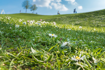 Fototapeta premium Frühlingsgefühle erwachen