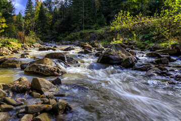 Wonderful autumn landscape. mountain river in summer with stream and high water in forest