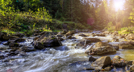 Wonderful autumn landscape. mountain river in summer with stream and high water in forest