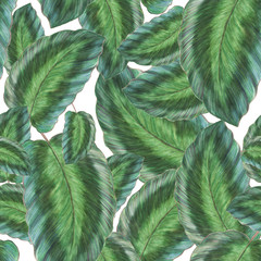 Watercolor painting abstract seamless pattern with green tropical leaves.