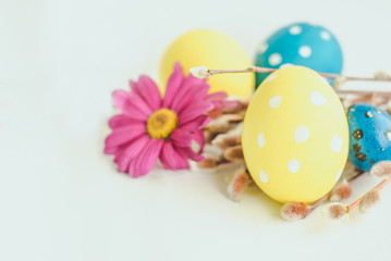 Easter eggs, spring flowers and willow on white background