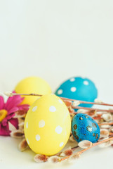 Fototapeta na wymiar Easter eggs, spring flowers and willow on white background