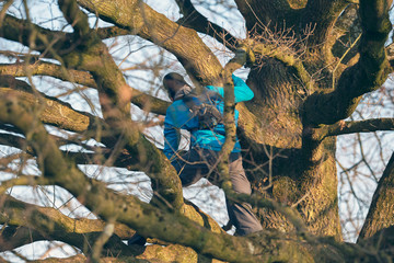 Teen boy climbing in winter tree.
