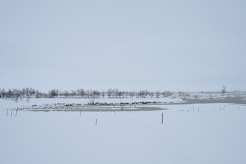Fototapeta premium 冬景色