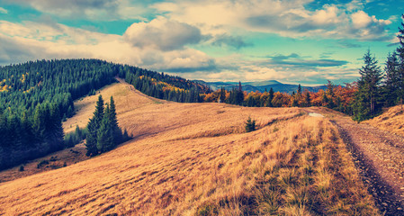 Naklejka premium wonderful mountain view. Summer landscape in mountains and the dark blue sky with clouds.retro vintaje style. instagram toning effect. Carpatian. Ukraine