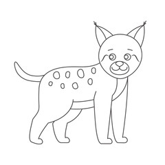 Lynx for coloring book