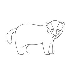 Badger for coloring book