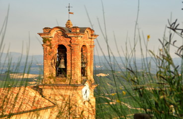Weinberge im Piemont mit Kirchturm im Vordergrund
