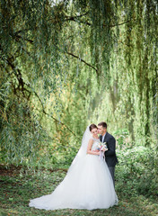 Soft embraces of wedding couple posing under green trees outside