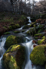 Obraz premium waterfalls in the stream