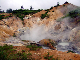 後生掛自然研究路