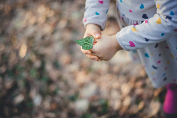 Little girl is holding a leaf of ivy. Clore up view. Bulgaria