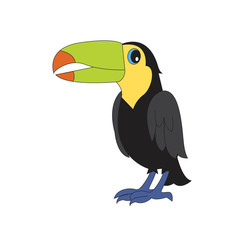 Character illustration toucan.