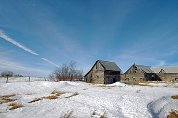 Two Old Barns