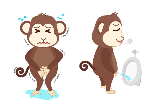 Monkey  need a pee and standing peeing
