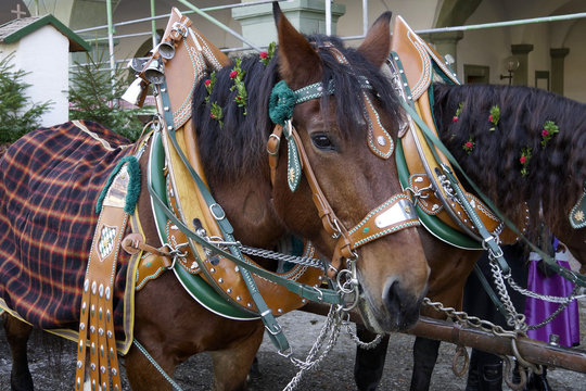Traditional Leonhard Parade, Leonhardifahrt in  Benediktbeuern, Upper Bavaria, Germany