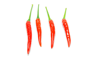 Red chili pepper isolated on a white background