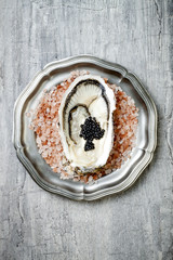 Opened oyster with black sturgeon caviar on pink salt in metal plate on grey concrete background....