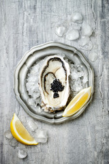 Opened oyster with black sturgeon caviar and lemon on ice in metal plate on grey concrete...