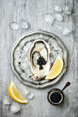Opened oyster with black sturgeon caviar and lemon on ice in metal plate on grey concrete...
