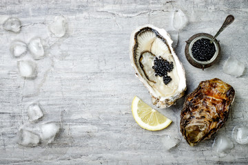 Opened oysters with black sturgeon caviar and lemon on ice on grey concrete background. Top view, flat lay, copy space