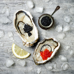 Opened oysters with red salmon and black sturgeon caviar and lemon on ice on grey concrete...
