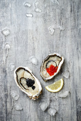 Obraz na płótnie Canvas Opened oysters with red salmon and black sturgeon caviar and lemon on ice on grey concrete background. Top view, flat lay, copy space