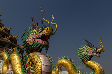 Fototapeta premium Amazing golden dragon head at chinese temple with blue sky background