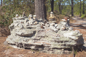 Rock / in Phukradung national park, Thailand