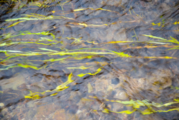 The flow of the river in the countryside with grass