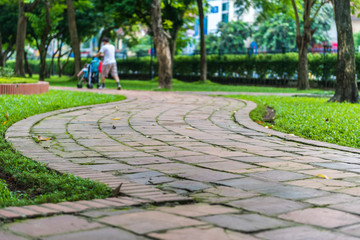 walkway in Green city park