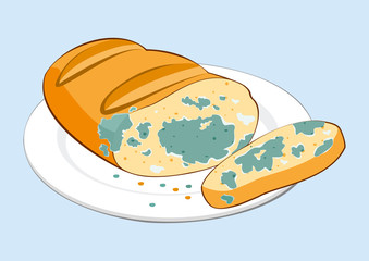 Mold bread. 