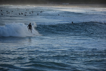 Surf in Bondi Beach